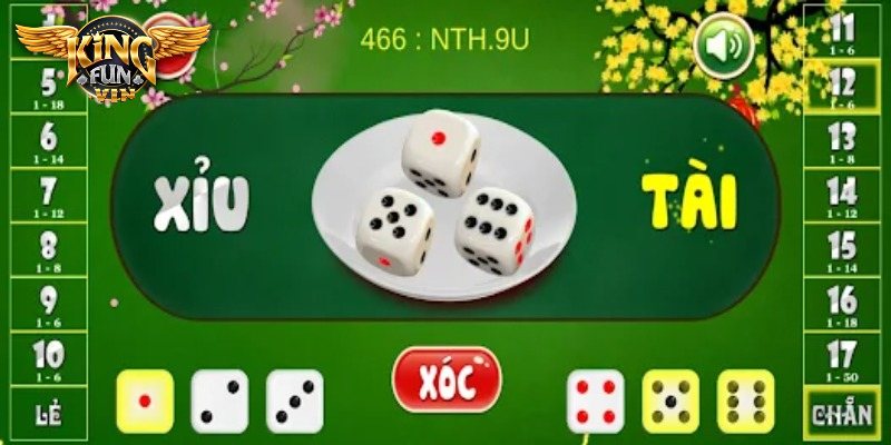Các quy tắc chơi tài xỉu