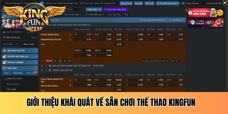 Giới thiệu khái quát về sân chơi thể thao Kingfun